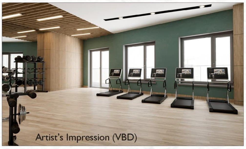 The gym, second view: a row of treadmills along a wall of windows